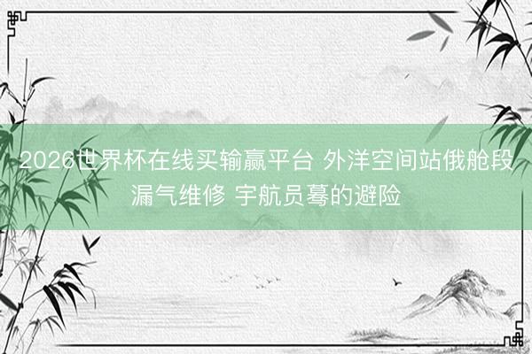 2026世界杯在线买输赢平台 外洋空间站俄舱段漏气维修 宇航员蓦的避险