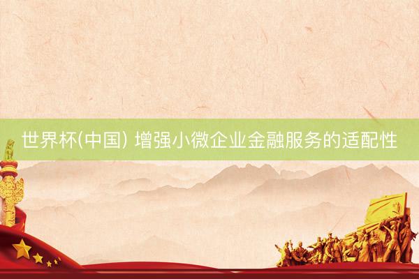 世界杯(中国) 增强小微企业金融服务的适配性