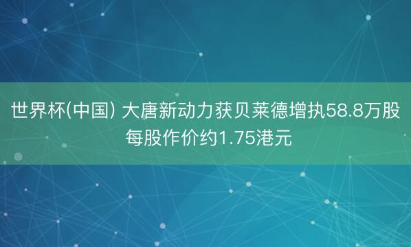 世界杯(中国) 大唐新动力获贝莱德增执58.8万股 每股作价约1.75港元