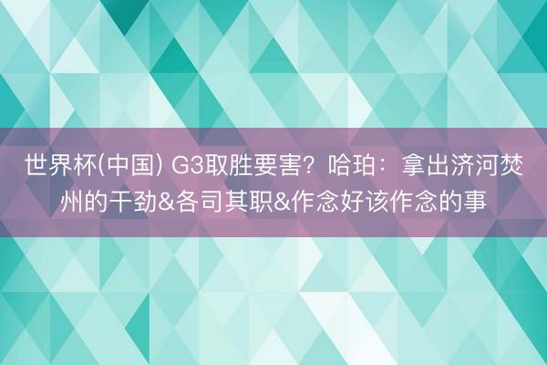 世界杯(中国) G3取胜要害？哈珀：拿出济河焚州的干劲&各司其职&作念好该作念的事
