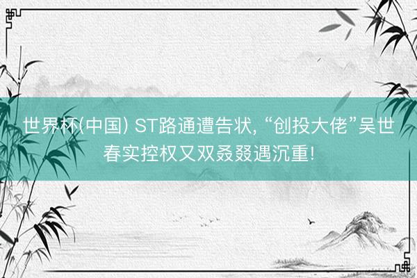世界杯(中国) ST路通遭告状, “创投