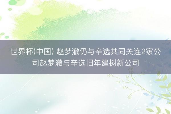 世界杯(中国) 赵梦澈仍与辛选共同关连2家公司赵梦澈与辛选旧年建树新公司