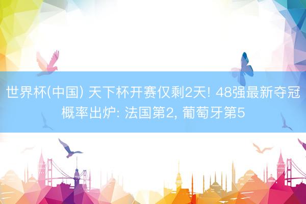 世界杯(中国) 天下杯开赛仅剩2天! 48强最新夺冠概率出炉: 法国第2， 葡萄牙第5