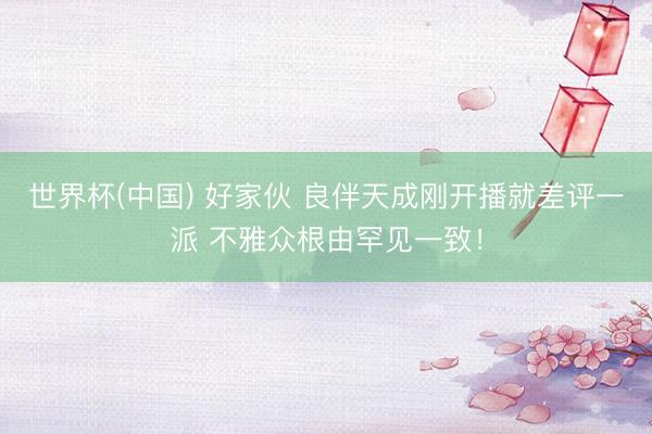 世界杯(中国) 好家伙 良伴天成刚开播就差评一派 不雅众根由罕见一致!