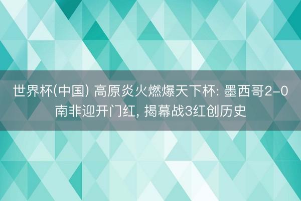 世界杯(中国) 高原炎火燃爆天下杯: 墨西哥2-0南非迎开门红， 揭幕战3红创历史