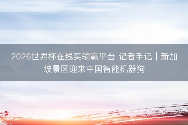 2026世界杯在线买输赢平台 记者手记｜新加坡景区迎来中国智能机器狗