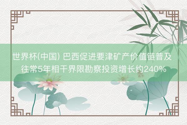 世界杯(中国) 巴西促进要津矿产价值链普及 往常5年相干界限勘察投资增长约240%