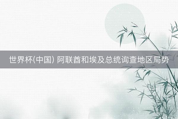 世界杯(中国) 阿联酋和埃及总统询查地区局势