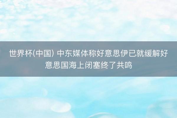 世界杯(中国) 中东媒体称好意思伊已就缓解好意思国海上闭塞终了共鸣