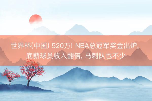世界杯(中国) 520万! NBA总冠军奖金出炉， 底薪球员收入翻倍， 马刺队也不少