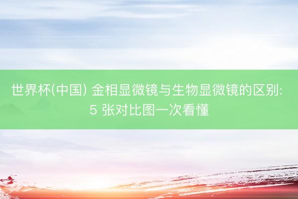 世界杯(中国) 金相显微镜与生物显微镜的区别: 5 张对比图一次看懂