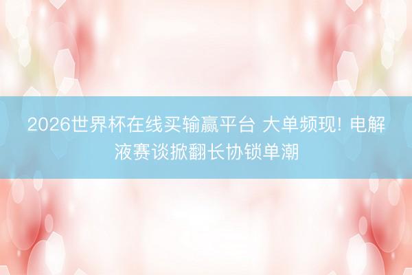 2026世界杯在线买输赢平台 大单频现! 电解液赛谈掀翻长协锁单潮